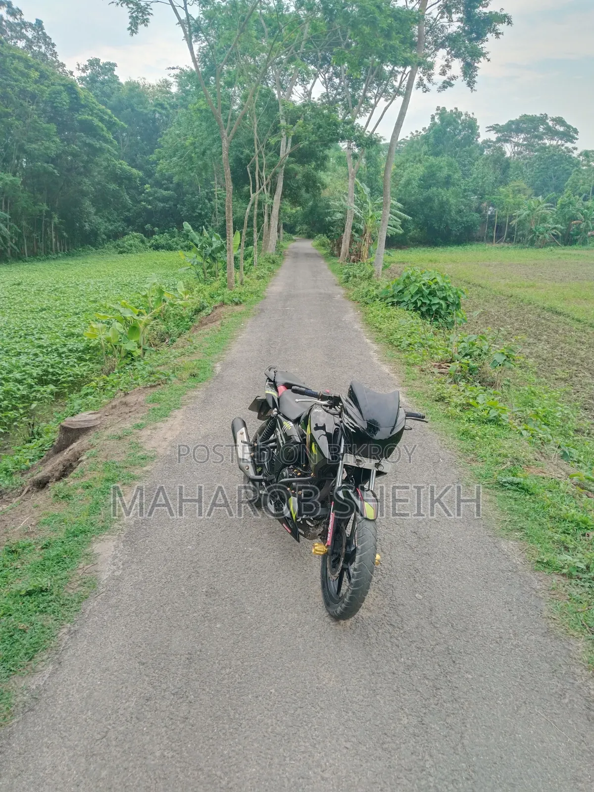 TVS Apache RTR 160 2V 2016 Green