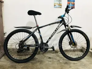 Oil Brake Foxter Gear Cycle 26-inch Aluminium