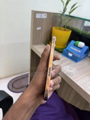 Apple iPhone 12 Pro Max 256 GB Gold