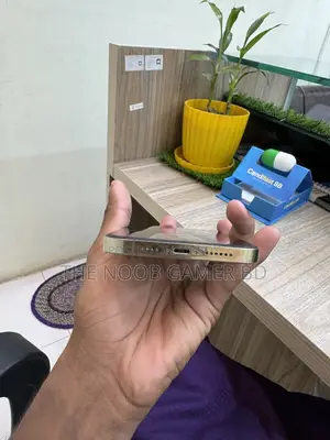Apple iPhone 12 Pro Max 256 GB Gold