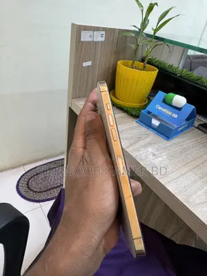 Apple iPhone 12 Pro Max 256 GB Gold