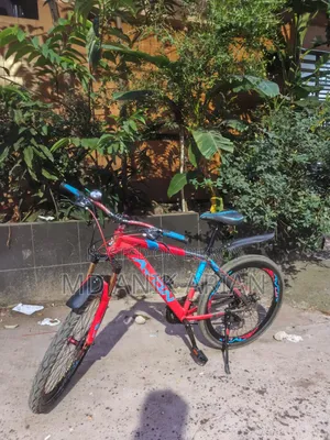 Avon Cycle