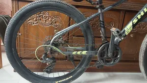 Bicycle for Sell