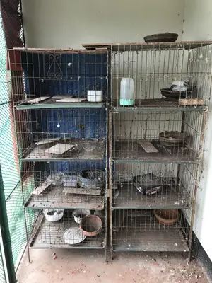 Thick Bar Cage
