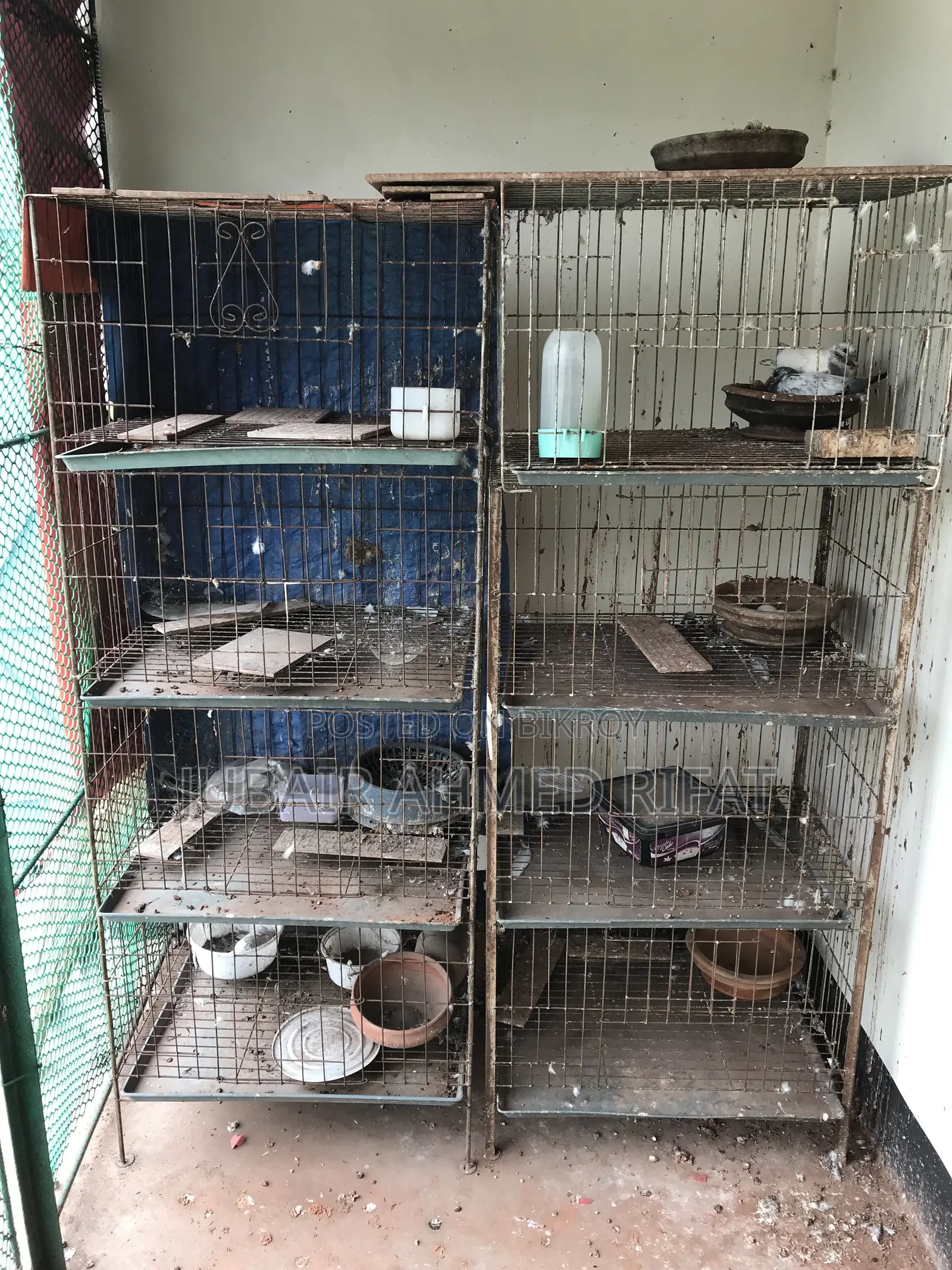 Thick Bar Cage