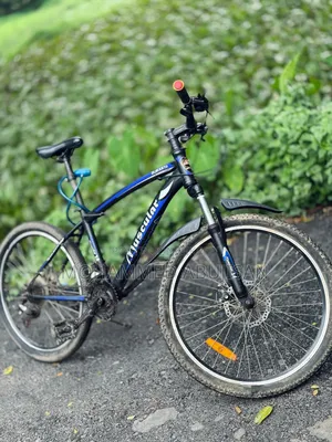 This is a bicycle in good condition
