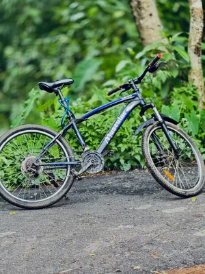 This is a bicycle in good condition