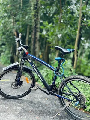 This is a bicycle in good condition
