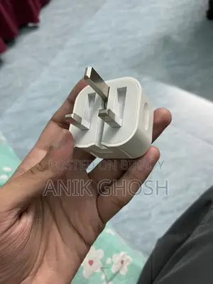 iPhone Charger (Adapter)