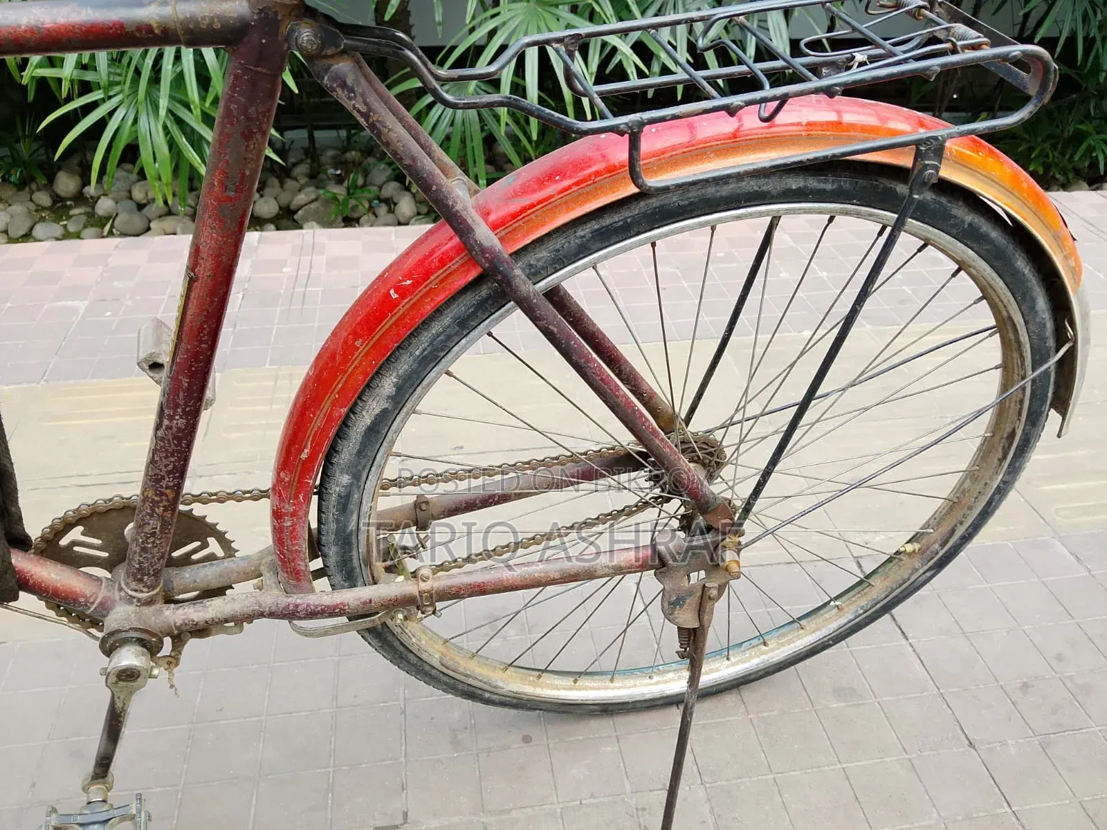 Hero fresh bicycle, no work needed