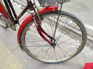 Hero fresh bicycle, no work needed