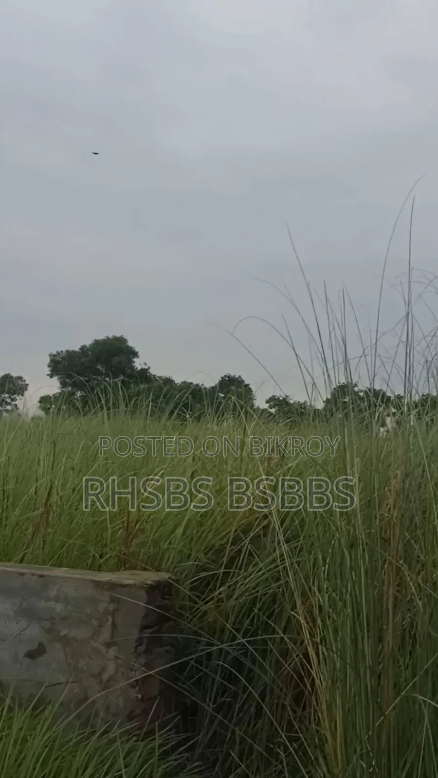 3 Katha Plot for Sell Amulia