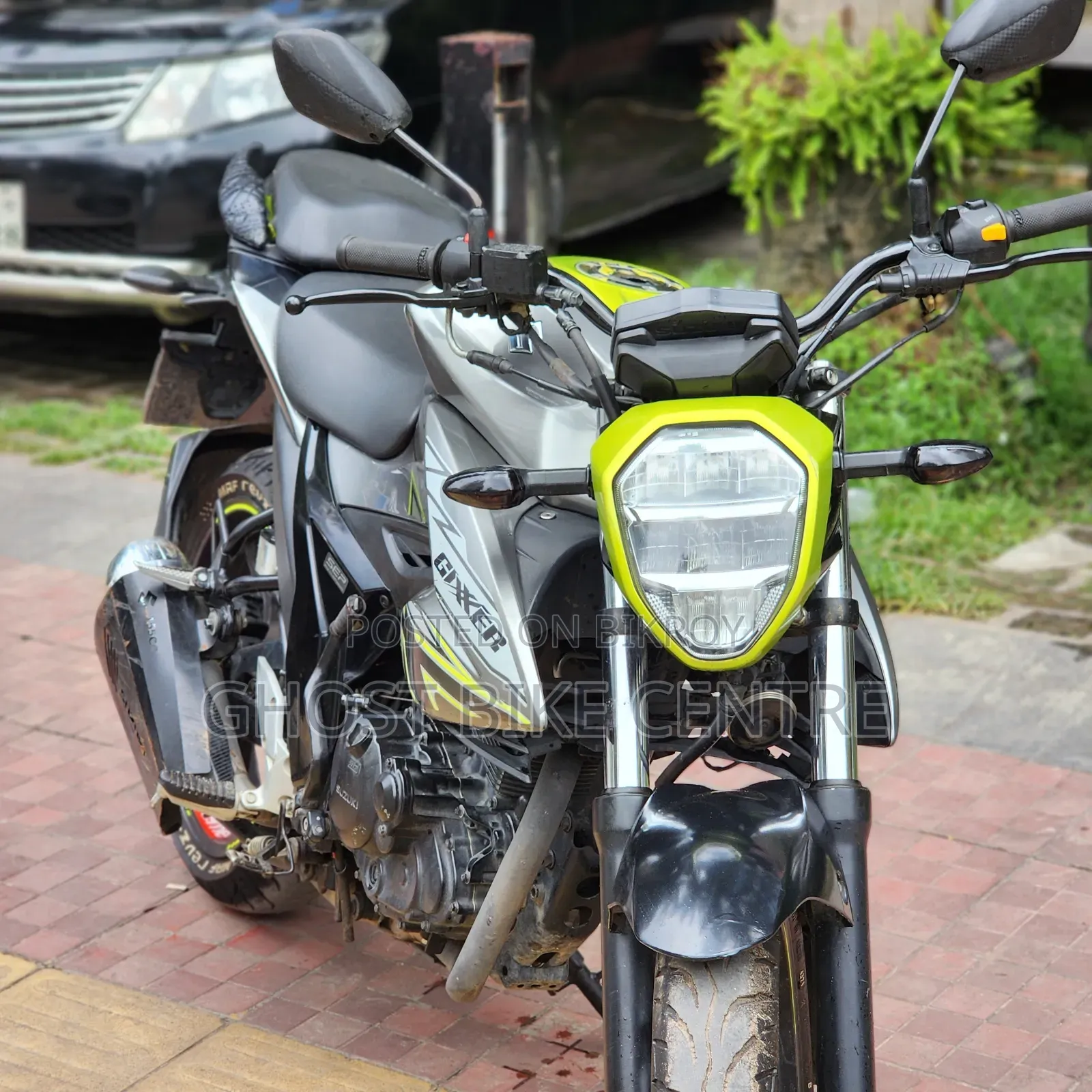 Suzuki 2025 Green