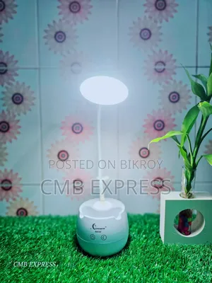 Rechargeable LED Light