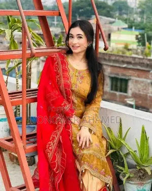 Stylish Embroidered Dress