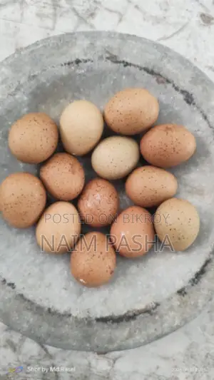 কিং কোয়েল