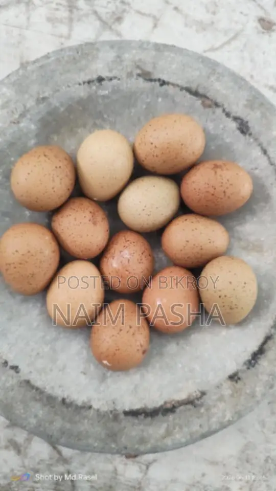 কিং কোয়েল