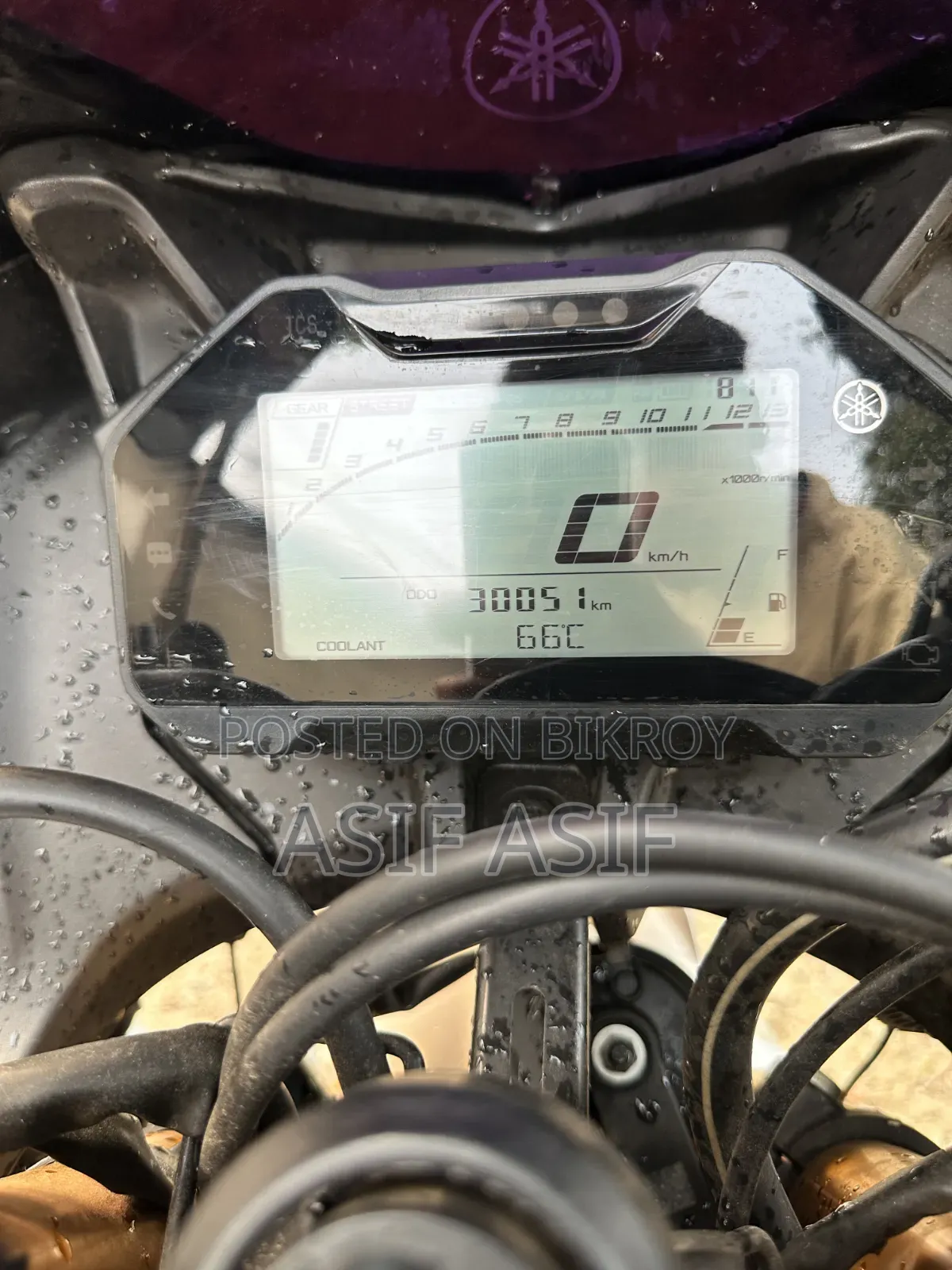 New Yamaha 2022 White