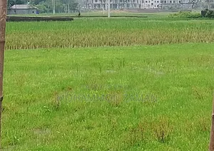 Urgent 5 sotok land for sale
