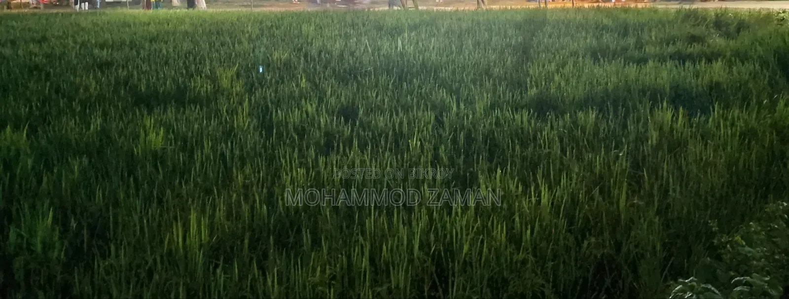 Urgent 5 sotok land for sale