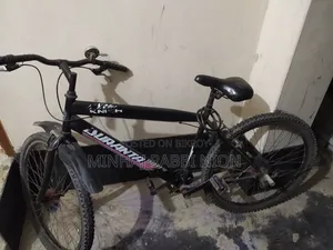 Duranta Bicycle