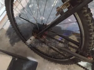 Duranta Bicycle