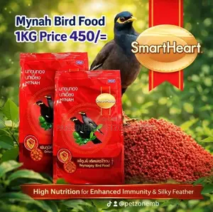 Mynah Bird Food