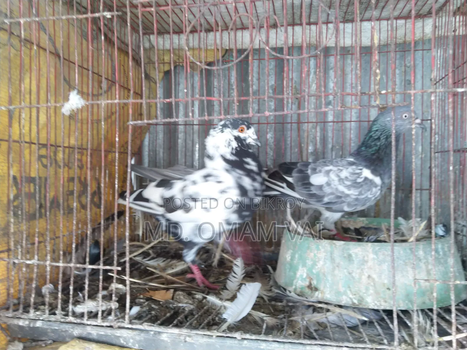 All Selling, No Space to Keep, Fixed Price
