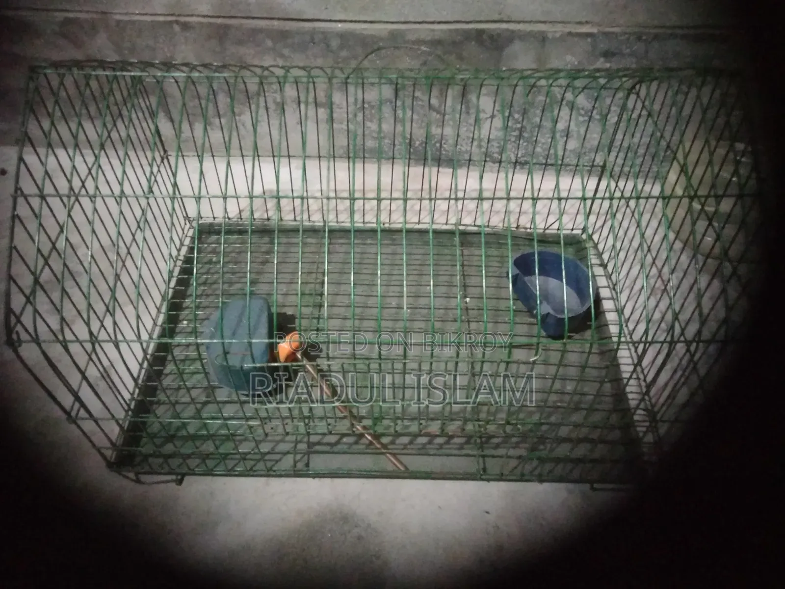 Bird cage for sale