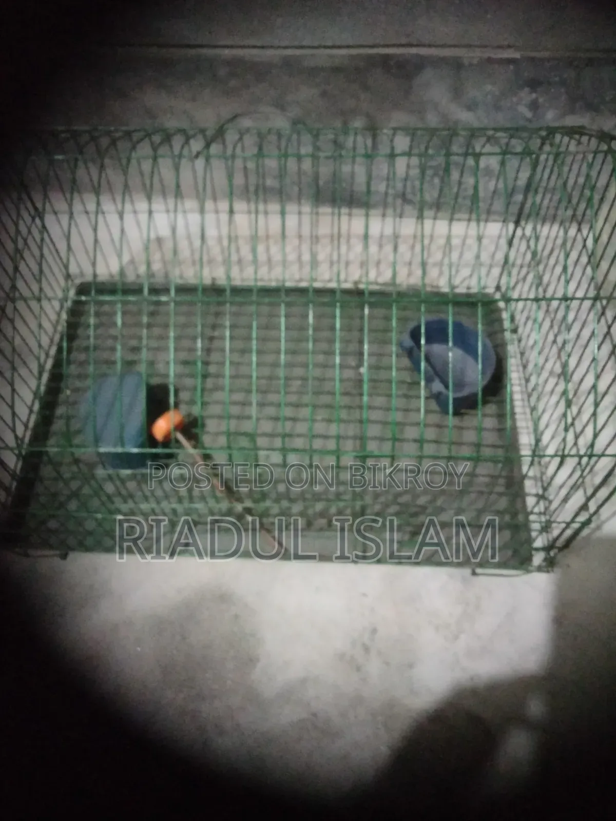 Bird cage for sale