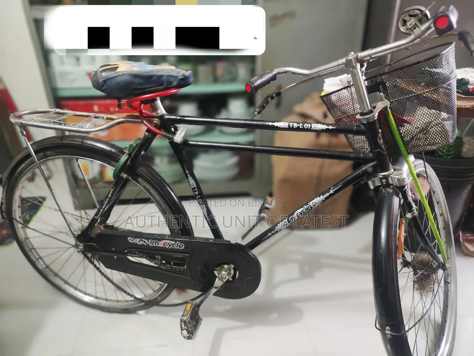 Bicycle (Used)