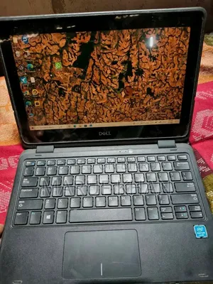 Laptop Dell Latitude 11 3190 8GB Intel Pentium SSD 256GB