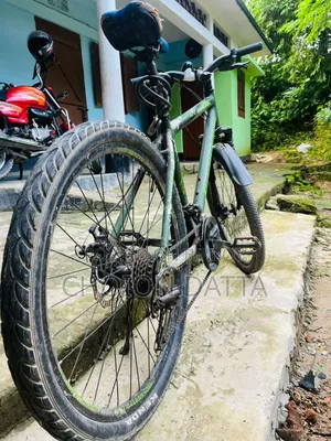Bicycle (Seventy One)