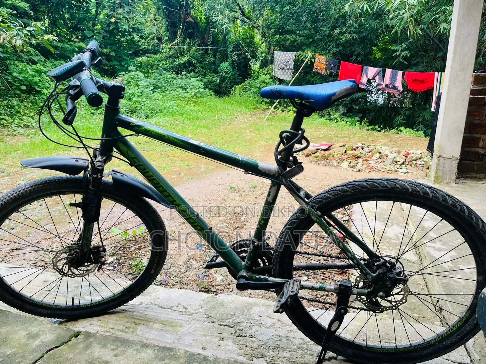 Bicycle (Seventy One)