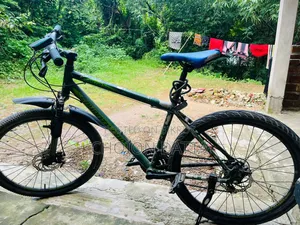 Bicycle (Seventy One)