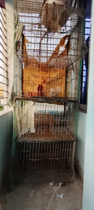 Brother, if you want the cage, contact me urgently