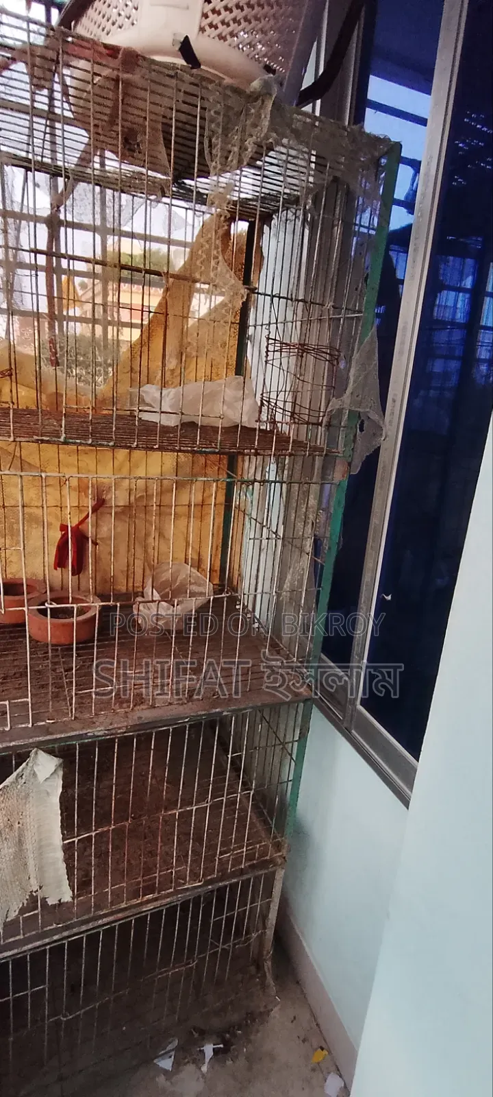 Brother, if you want the cage, contact me urgently