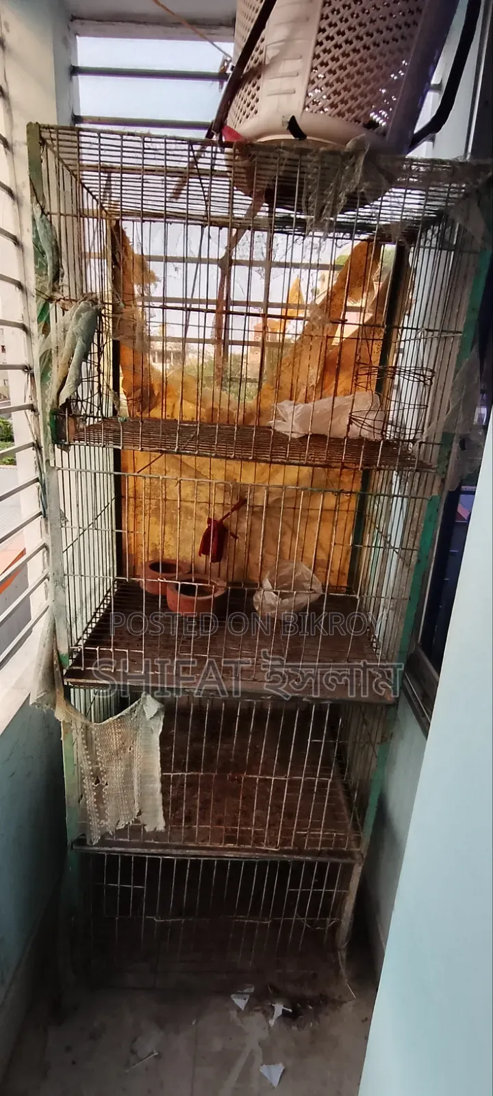 Brother, if you want the cage, contact me urgently
