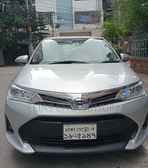 Toyota Axio 2019 Silver