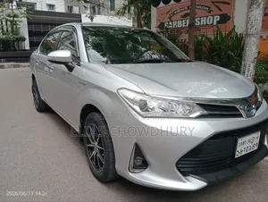Toyota Axio 2019 Silver