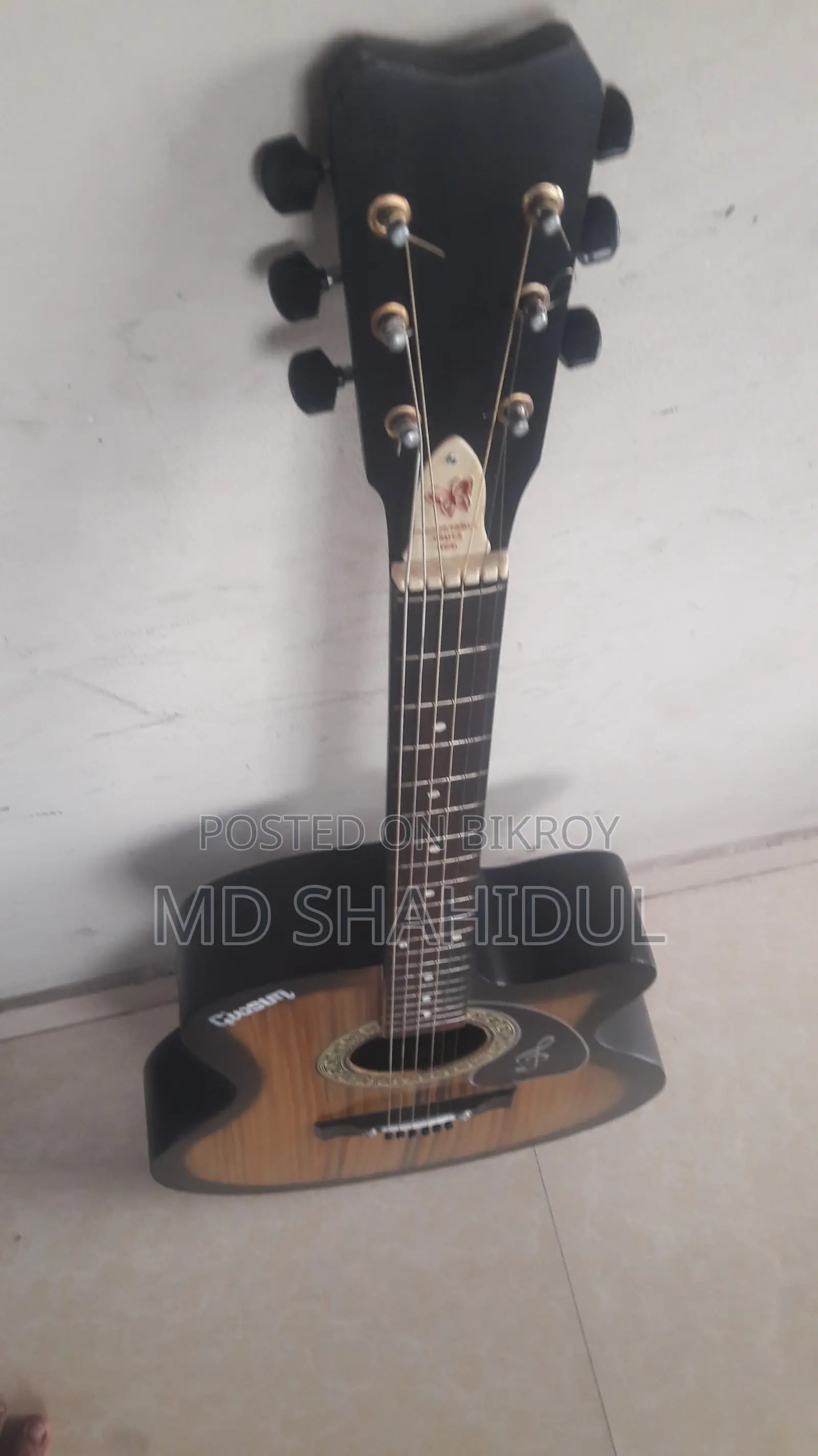 Acoustic Guitar