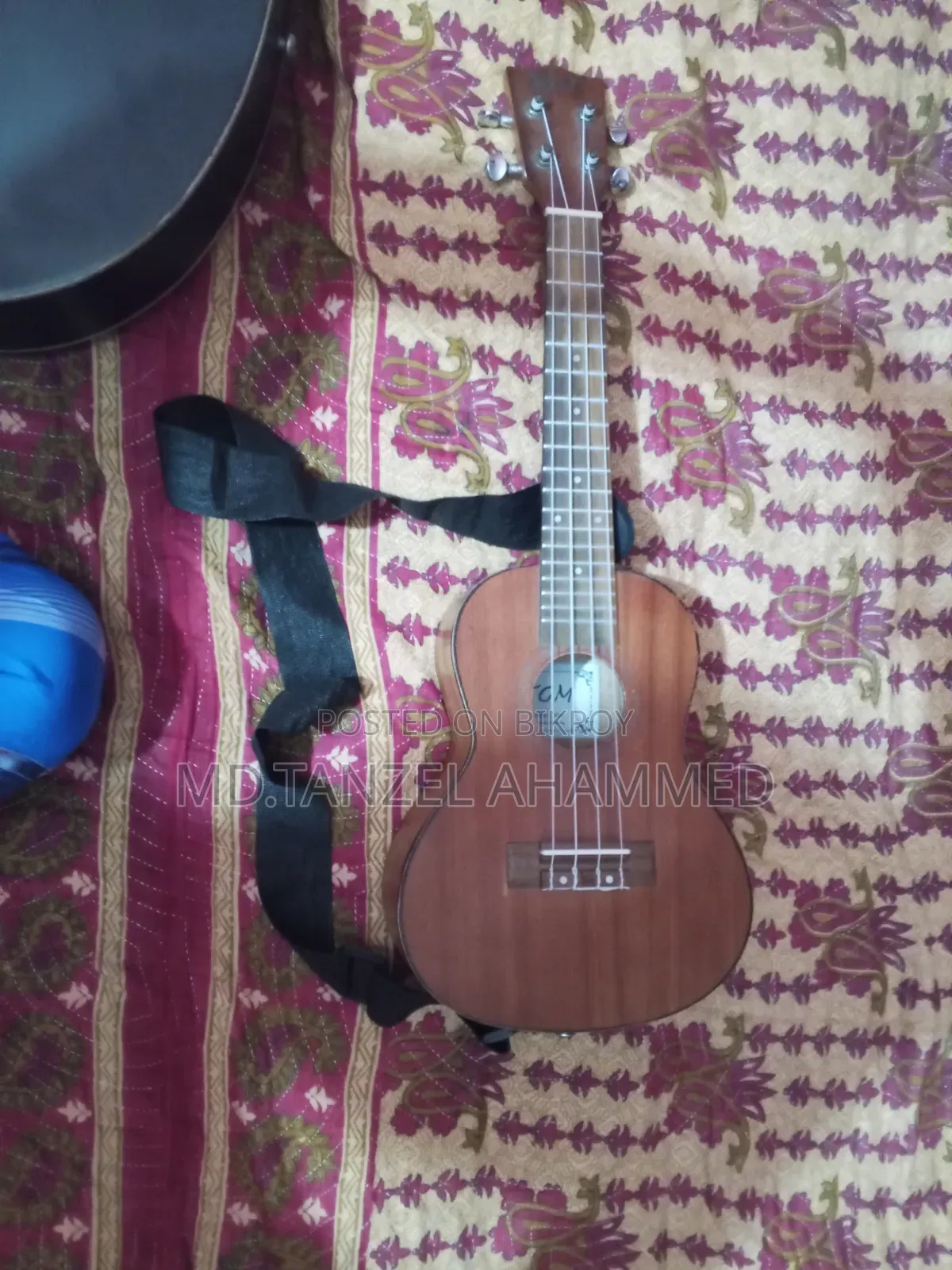 Musical Instrument