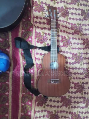 Musical Instrument