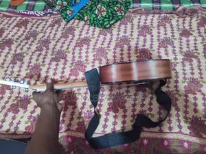 Musical Instrument