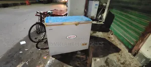 Singer 205 Dip Refrigerator