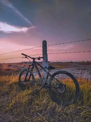 Stunt Mod Cycle