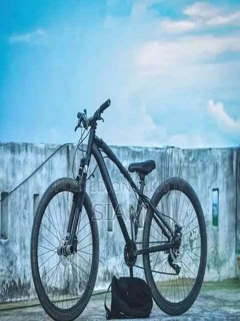 Stunt Mod Cycle