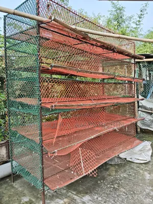 Bird Cage