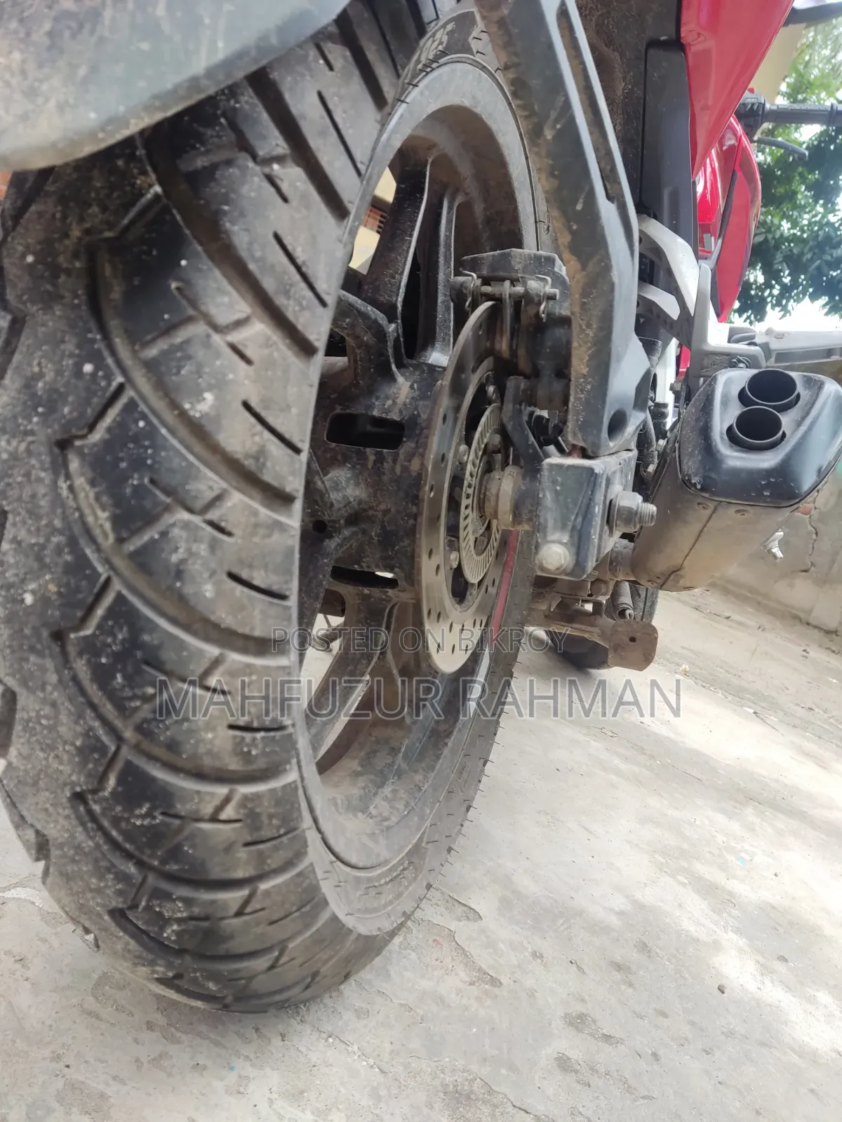 Bajaj Pulsar N250 2024 Red