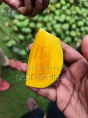 Haribhanga Mango